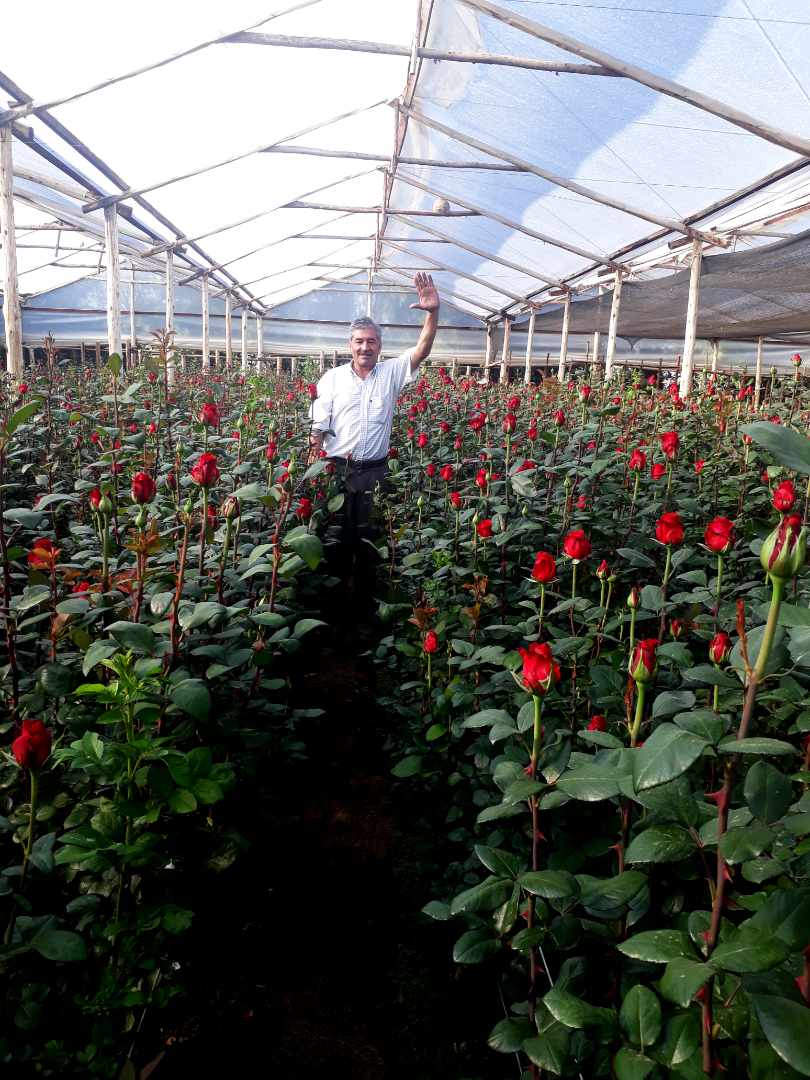 Quinta propiedad agrícola en VentaPunata Foto 7