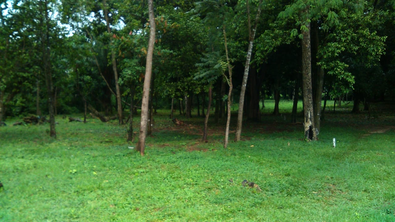 Terreno Buenavista - Resort Quintas Buena Vista Foto 10