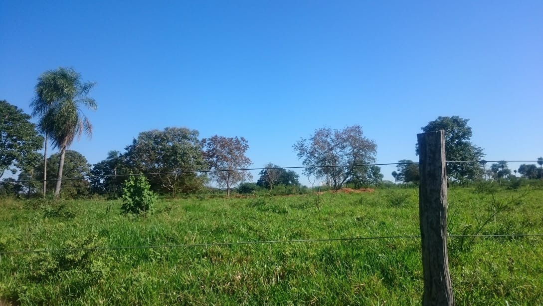 Terreno en VentaROBORÉ frente a rotonda de ingreso y gasolinera, sobre Carretera Bioceánica    Foto 11