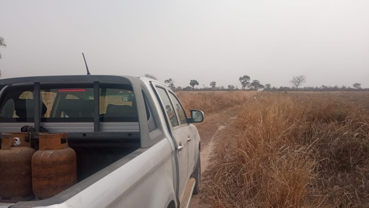 Quinta propiedad agrícola en VentaLinda propiedad  agricola  de 604ha por Pailon Sur, 70km entrando    Foto 19