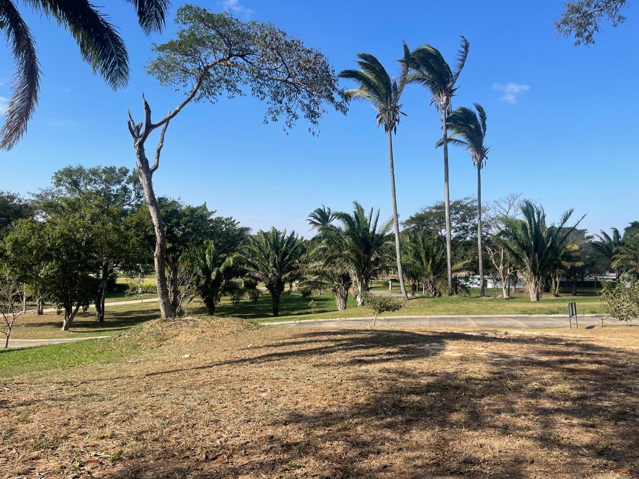 Terreno en VentaHermosos terrenos en altura en condominio Las Palmas del Urubo I    Foto 7