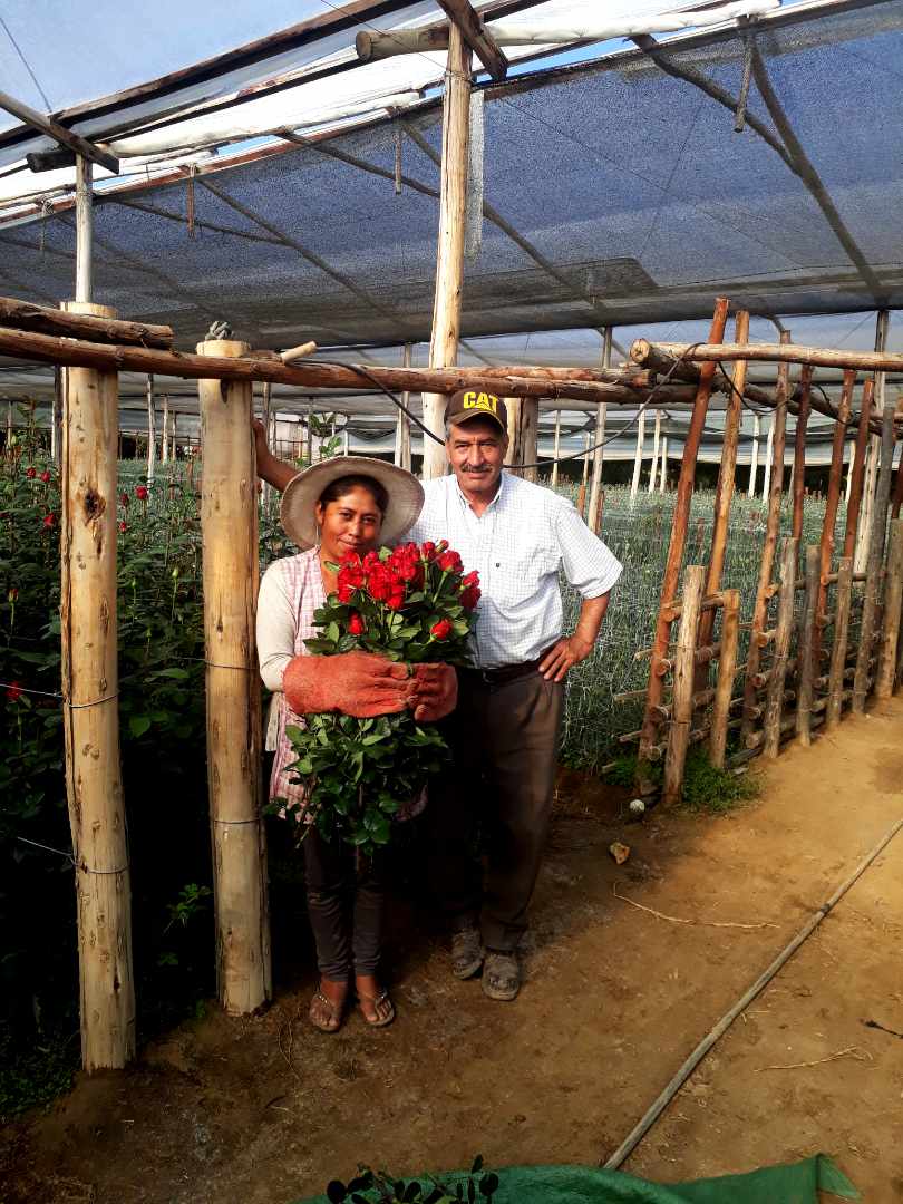 Quinta propiedad agrícola en VentaPunata Foto 13