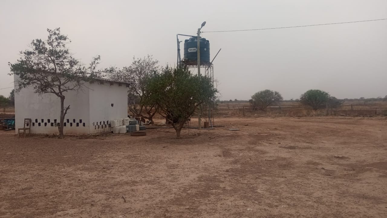 Quinta propiedad agrícola en VentaLinda propiedad  agricola  de 604ha por Pailon Sur, 70km entrando    Foto 10