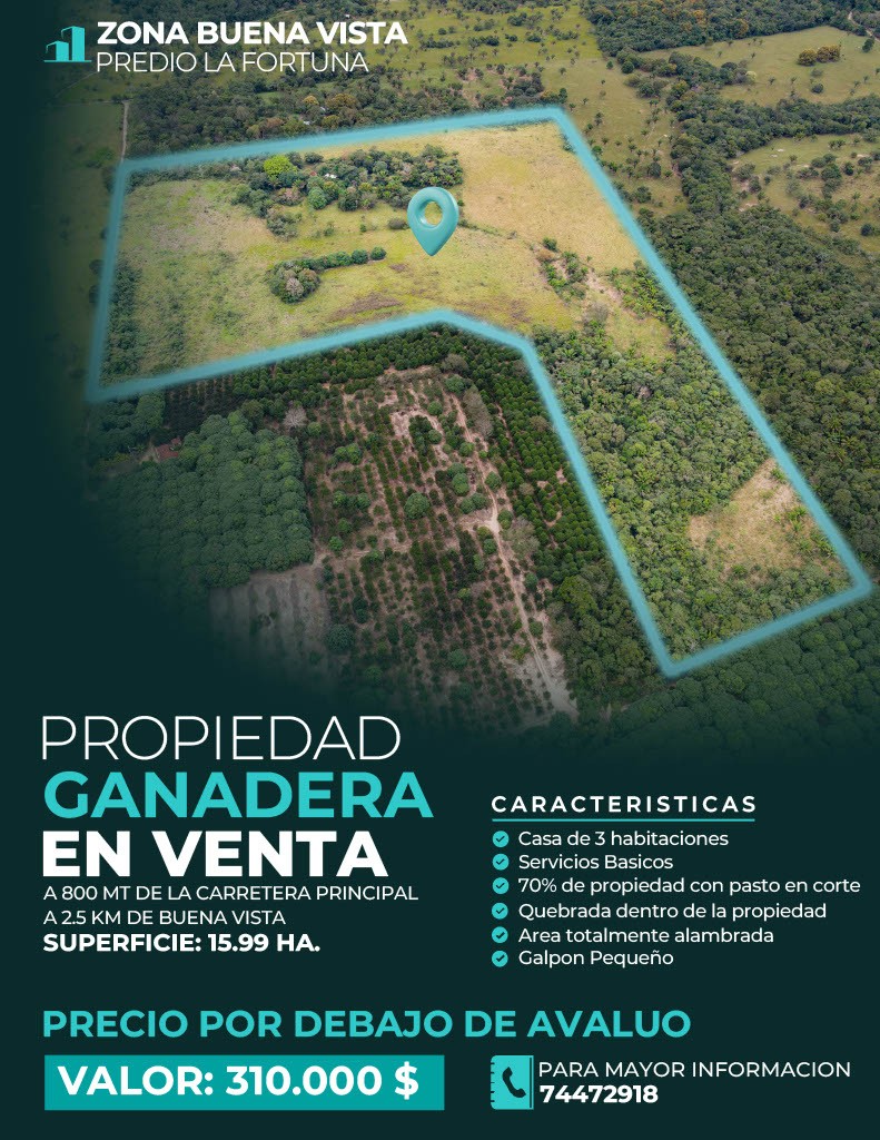 Quinta propiedad agrícola Buena Vista Foto 3