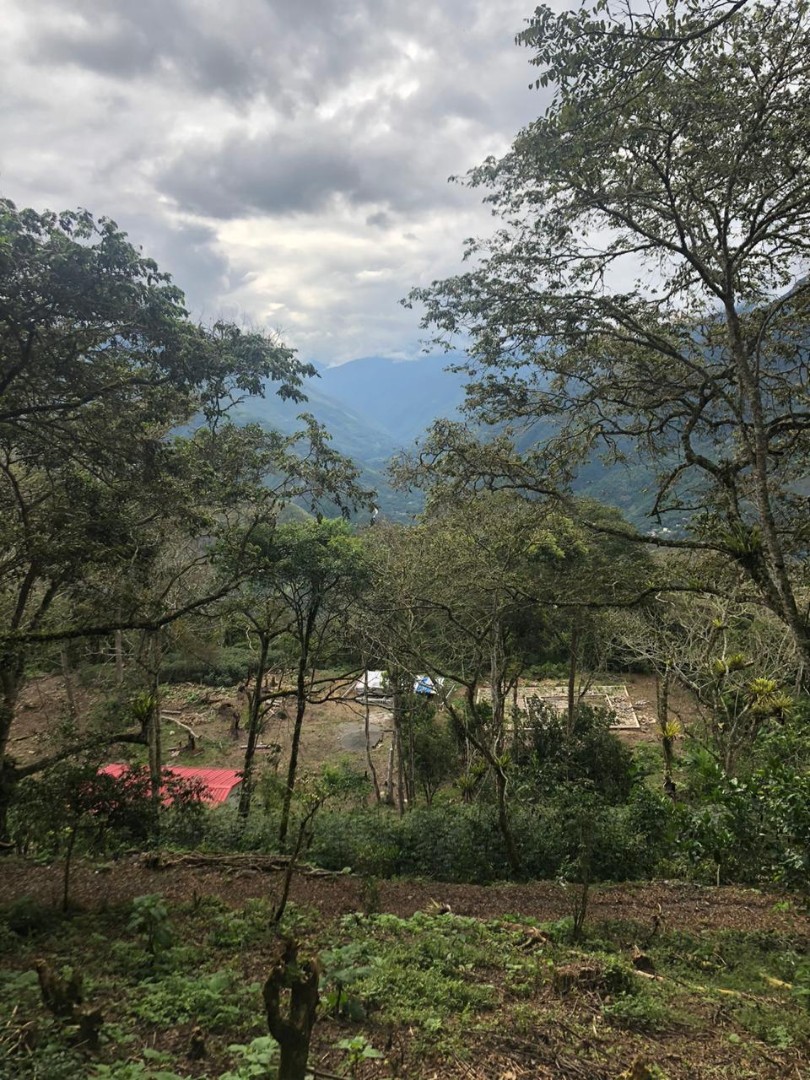 Terreno Coroico Foto 16