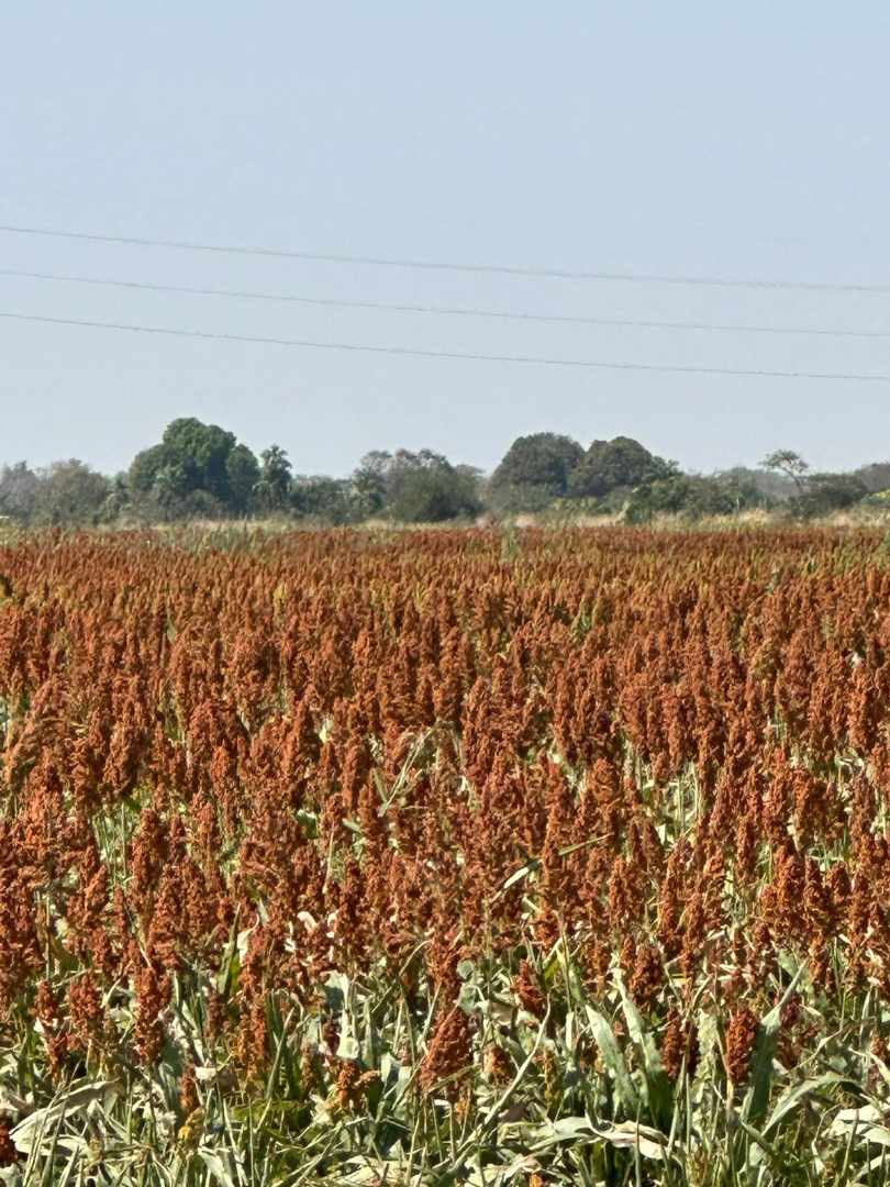 En Venta a $us 3,600,000 Foto 4