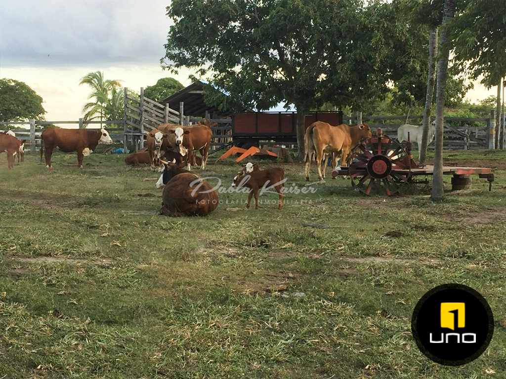 En Venta a $us 1,800 Foto 13