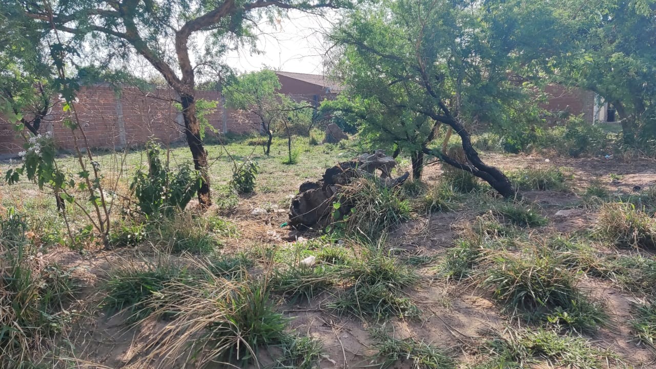 Terreno en Entre 4to y 5to anillo Este en Santa Cruz de la Sierra    Foto 2