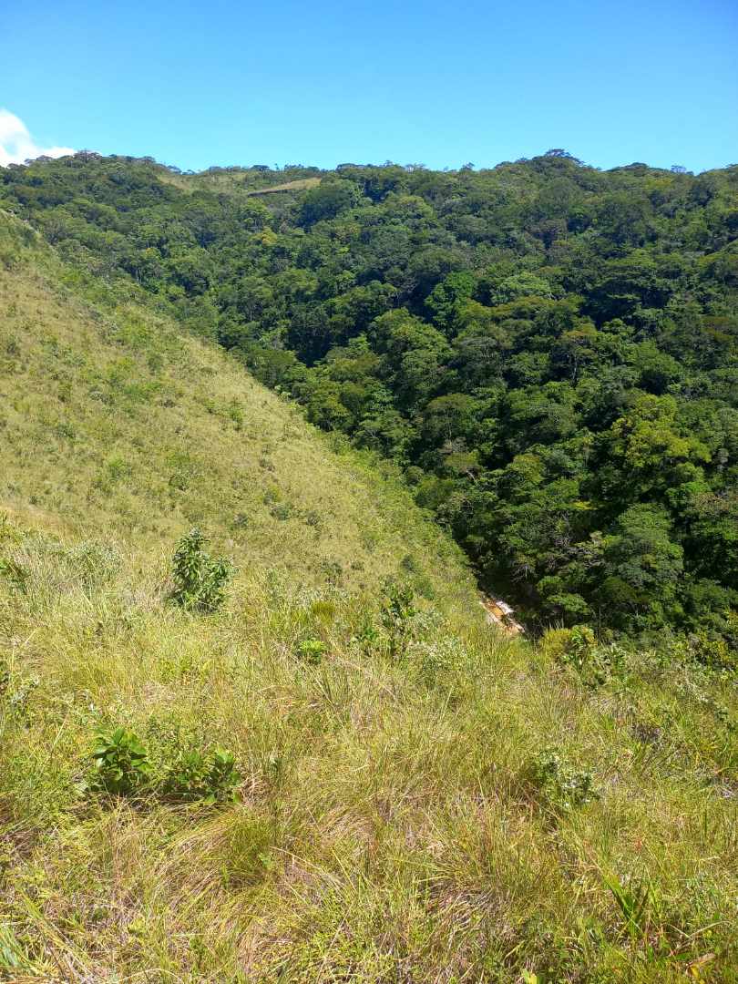 Quinta propiedad agrícola en Doble vía La Guardia en Santa Cruz de la Sierra    Foto 12
