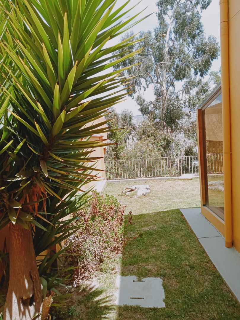 Casa en San Alberto en La Paz 4 dormitorios 6 baños 2 parqueos Foto 2