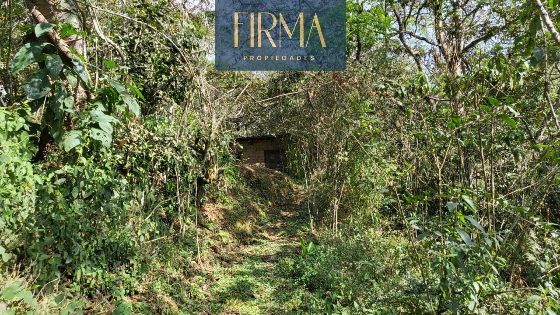 Terreno en Coroico en Coroico    Foto 5