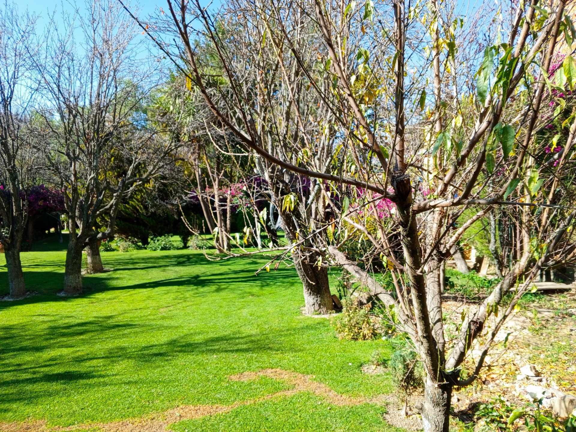 Terreno en Río Abajo en La Paz    Foto 4