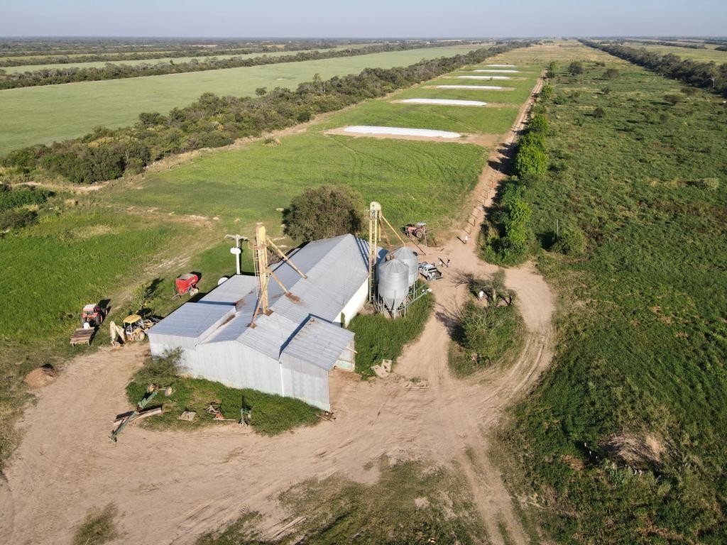 Quinta propiedad agrícola en VentaEn Venta: 2.300 Hectáreas Agrícola - Ganadera en Tres Cruces Foto 1