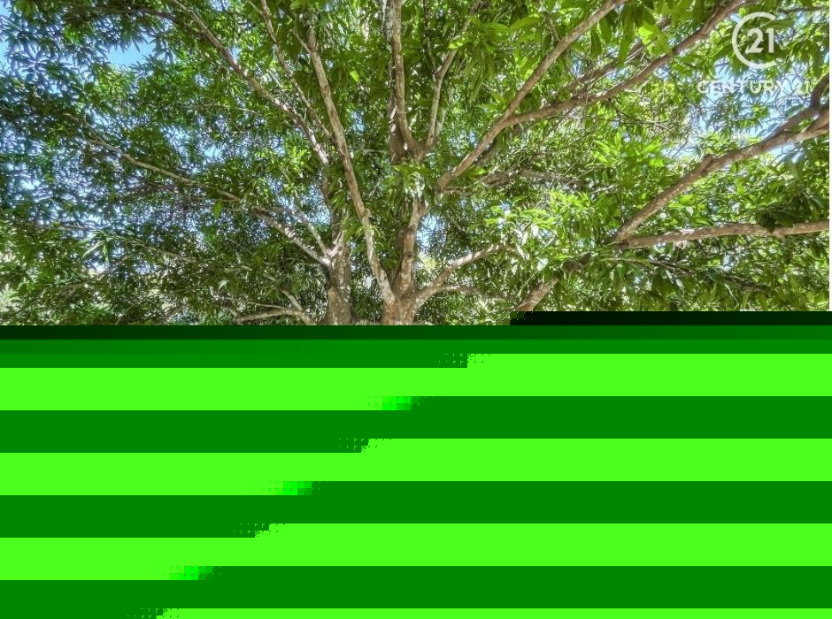 Quinta propiedad agrícola en VentaCarretera a Cotoca Foto 9
