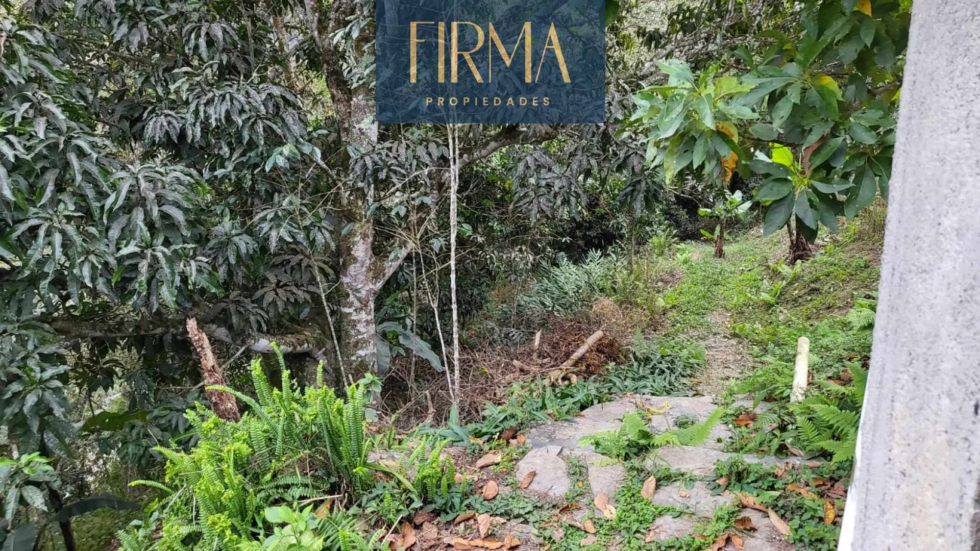 Terreno en Coroico en Coroico    Foto 15