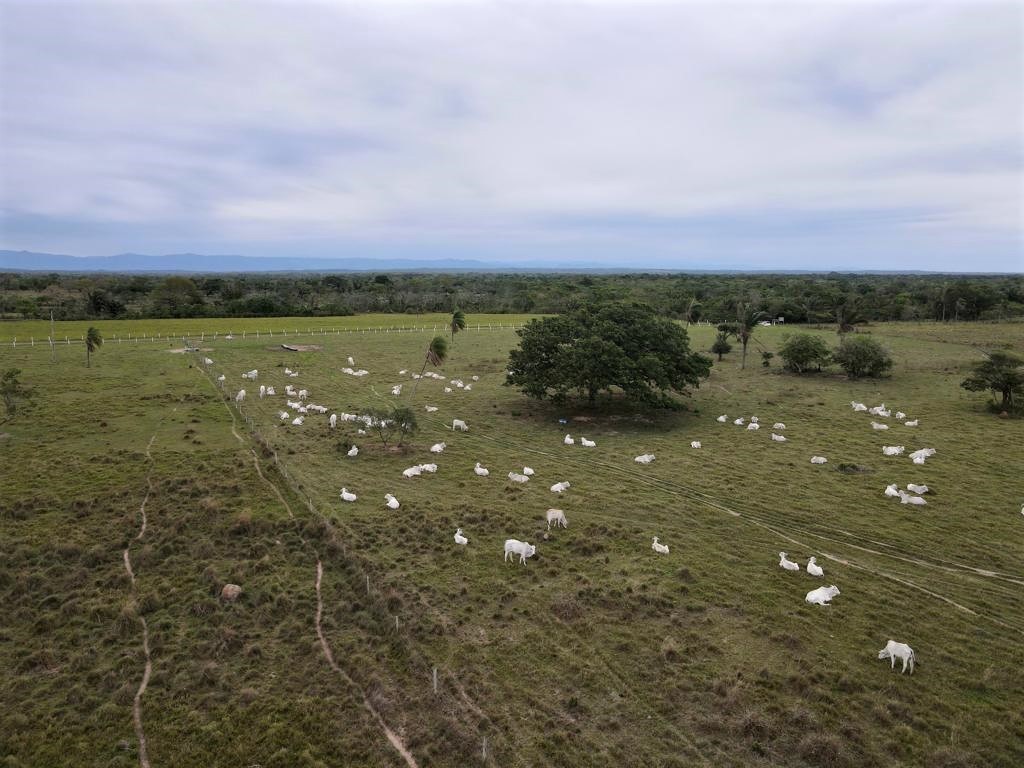 Quinta propiedad agrícola en VentaEn Venta 850 Hectáreas Ganaderas y con Potencial para Urbanizar en Portachuelo Foto 3