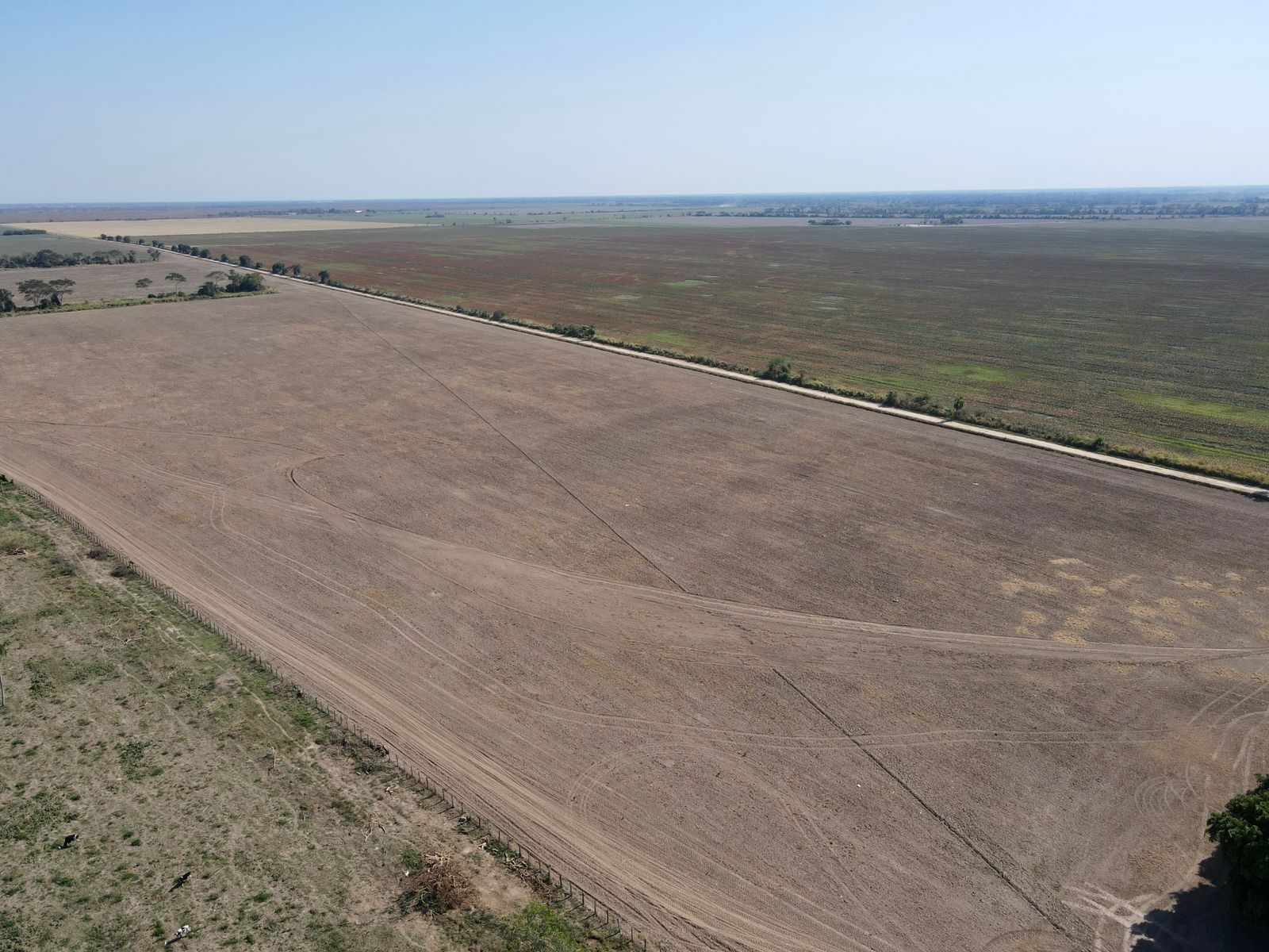 Quinta propiedad agrícola en VentaEn Venta 485 Hectáreas Agrícolas 100% Desarrolladas en Puente Banegas Foto 10