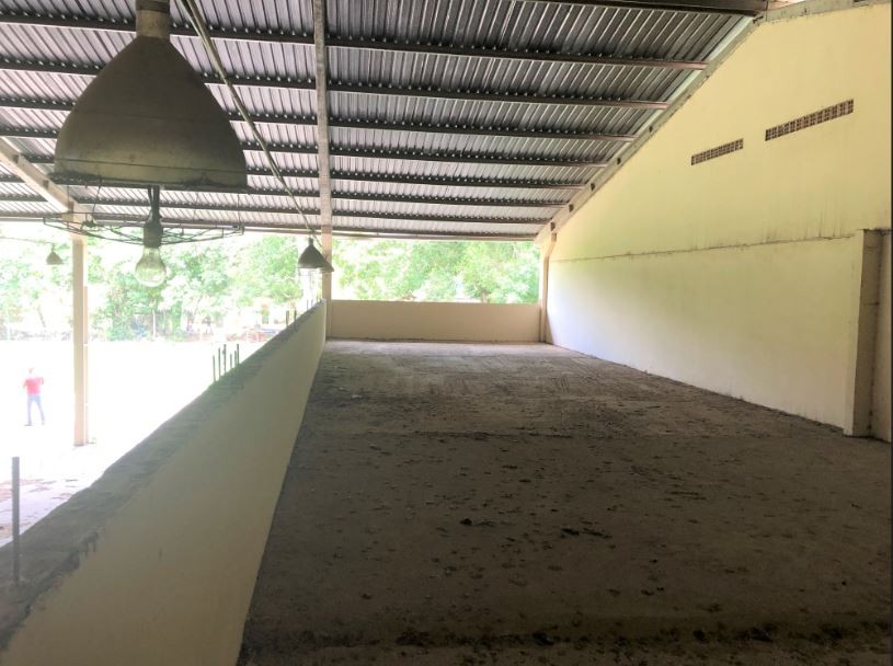 Terreno en Venta5 Hectáreas sobre Carretera Doble Vía a Cotoca Foto 6