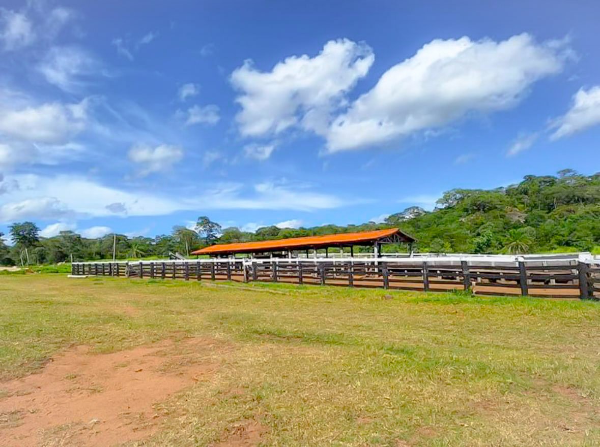 Quinta propiedad agrícola en Venta<b>PROPIEDAD DE 3.600 HECTÁREAS EN VENTA EN LA PROVINCIA VELASCO</b>     Foto 8
