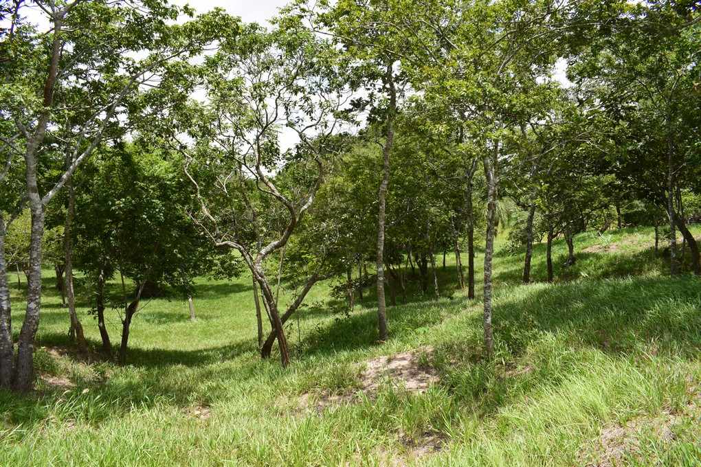 Terreno en Urubó en Santa Cruz de la Sierra    Foto 4