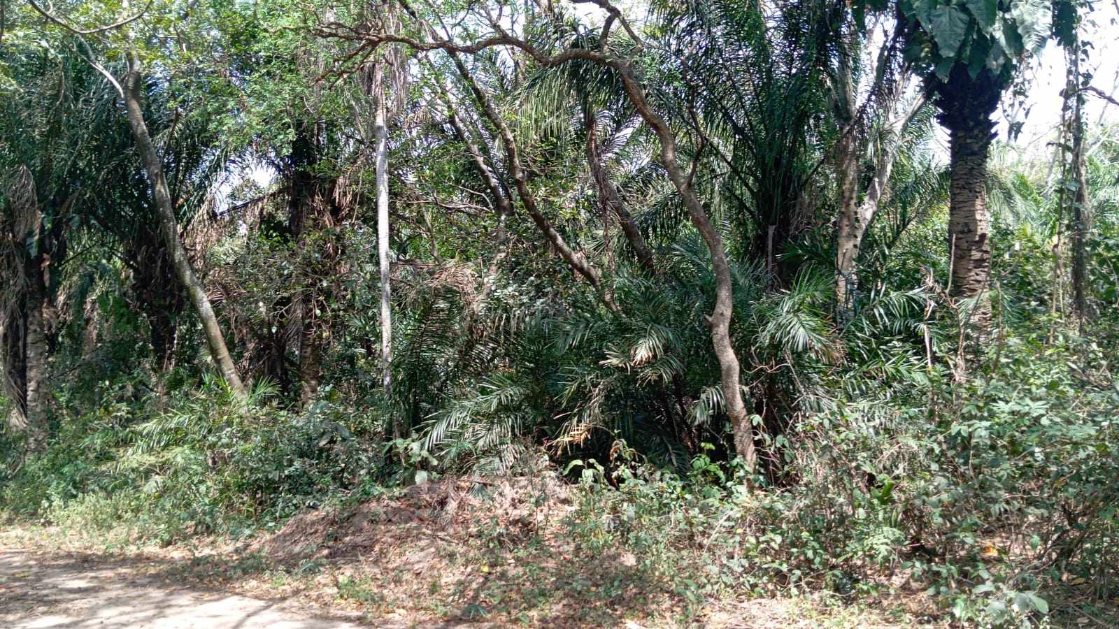 Terreno en VentaBonito terreno de 720m2 en la urbanizacion  Valle Sanchez 2    Foto 5