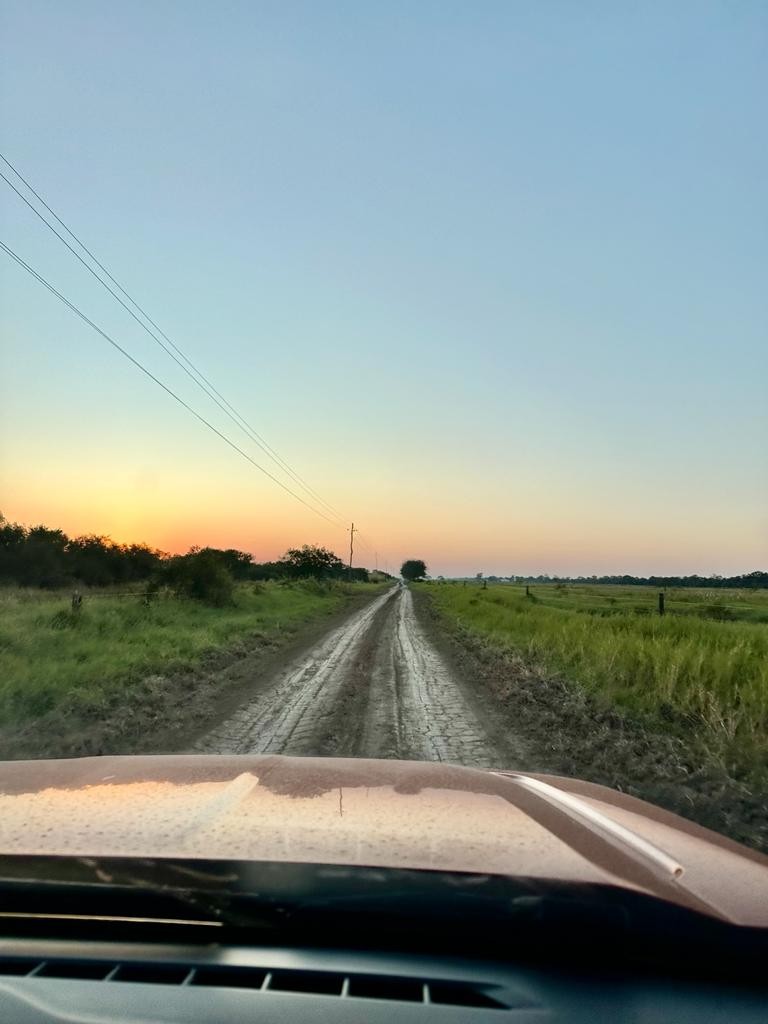 Quinta propiedad agrícola en VentaEn Venta: 2.300 Hectáreas Agrícola - Ganadera en Tres Cruces Foto 9