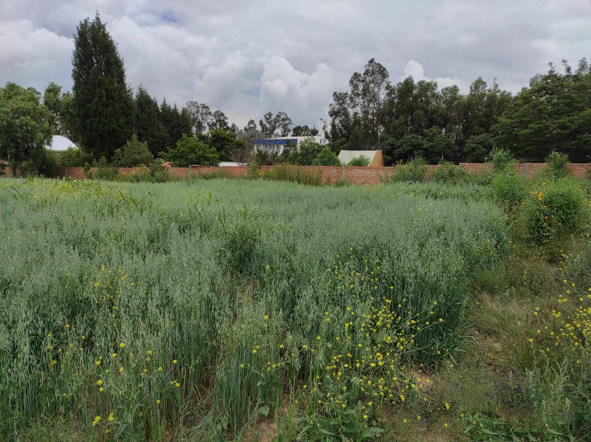 Terreno en Tiquipaya en Cochabamba    Foto 5