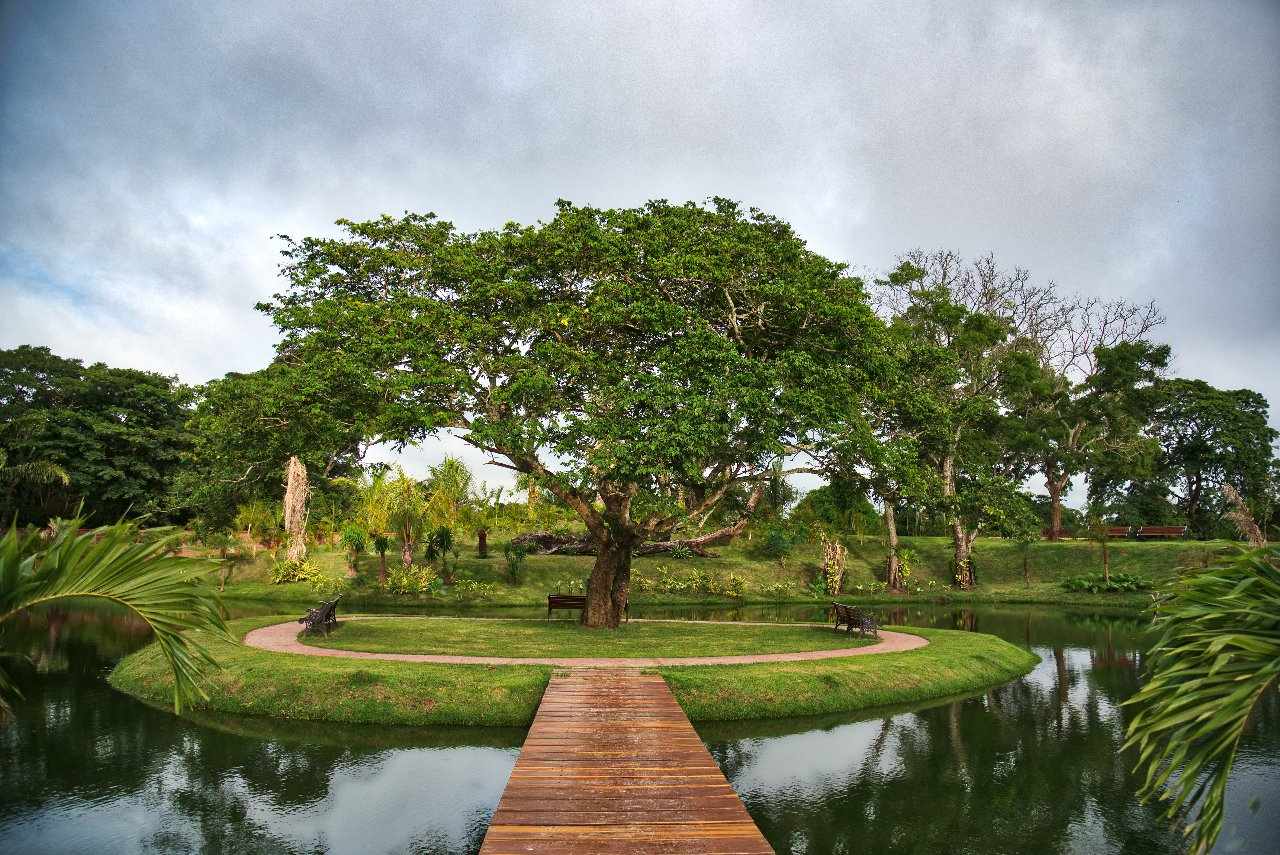 Casa en VentaEl remanso 8vo anillo 3 dormitorios 3 baños 2 parqueos Foto 13