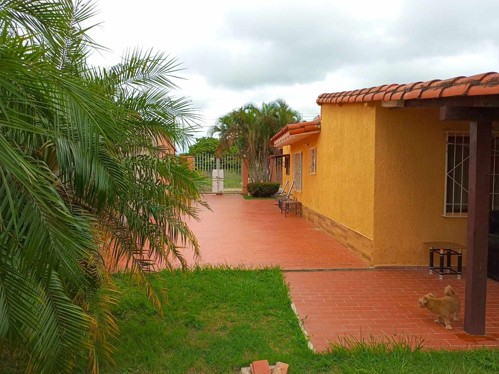 Casa en VentaURB TOBOROCHI ZONA SUR CALLLE EL NOGAL ; Líneas De Micro 1, 115, 116, 77, 78, 120
zona Sur
colinda Con Barrio El Caminero / Blooming / Las Amaericas / El Paraiso 3 dormitorios 1 baños 2 parqueos Foto 10