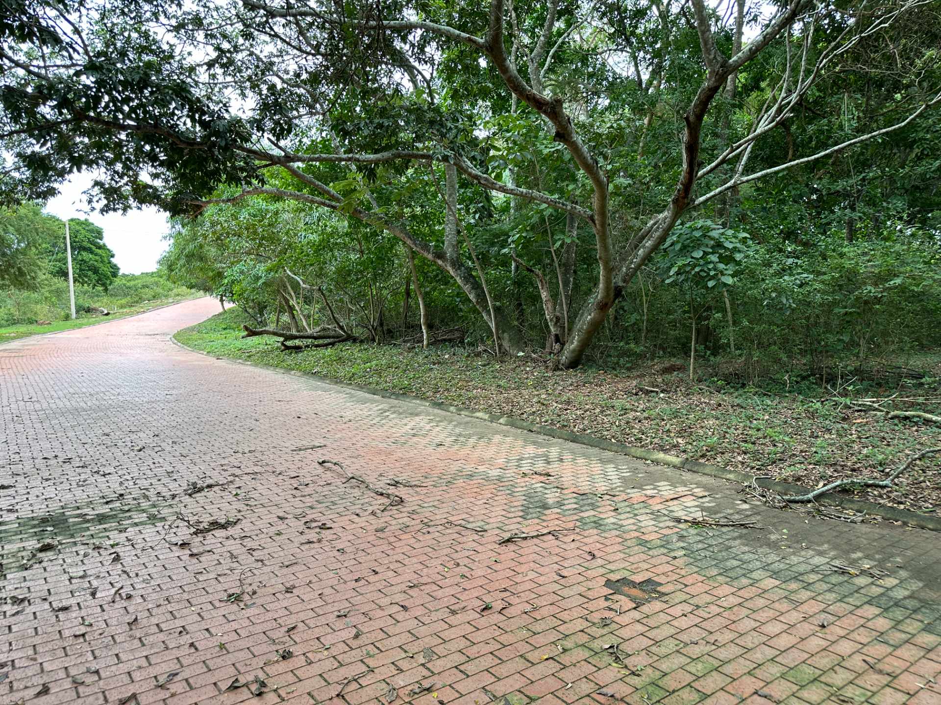 Terreno en VentaSanta Anita del Urubó, Condominio Ubicado al Lado de Trejo a 12 Minutos del Puente Mario Foianini Camino a Taromatú.     Foto 6