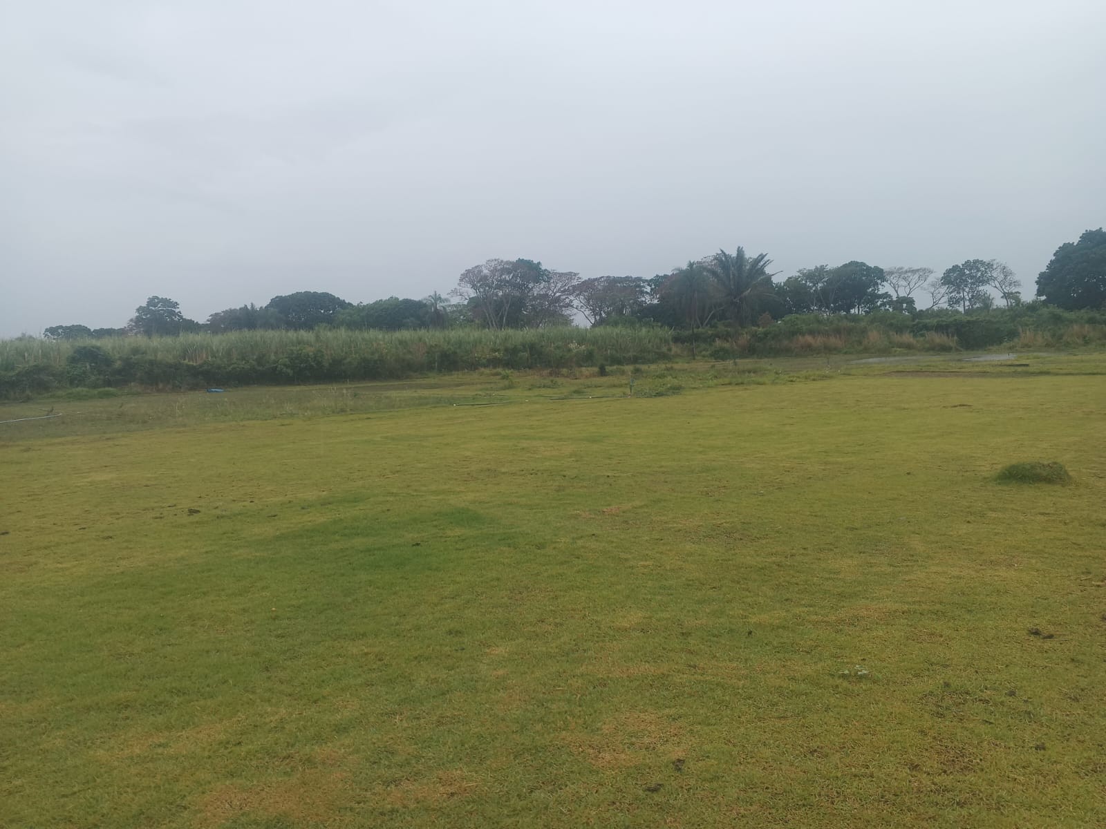 Terreno en Zona Nueva Santa Cruz en Santa Cruz de la Sierra    Foto 1