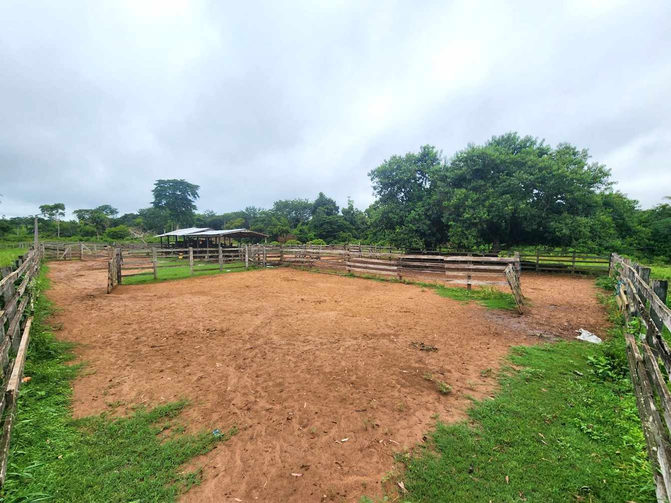 Quinta propiedad agrícola en VentaPROPIEDAD GANADERA EN EL MUNICIPIO DE SAN JAVIER Foto 9