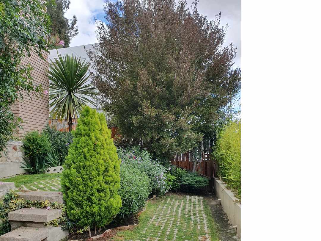 Casa en Achumani en La Paz 3 dormitorios 3 baños 2 parqueos Foto 17