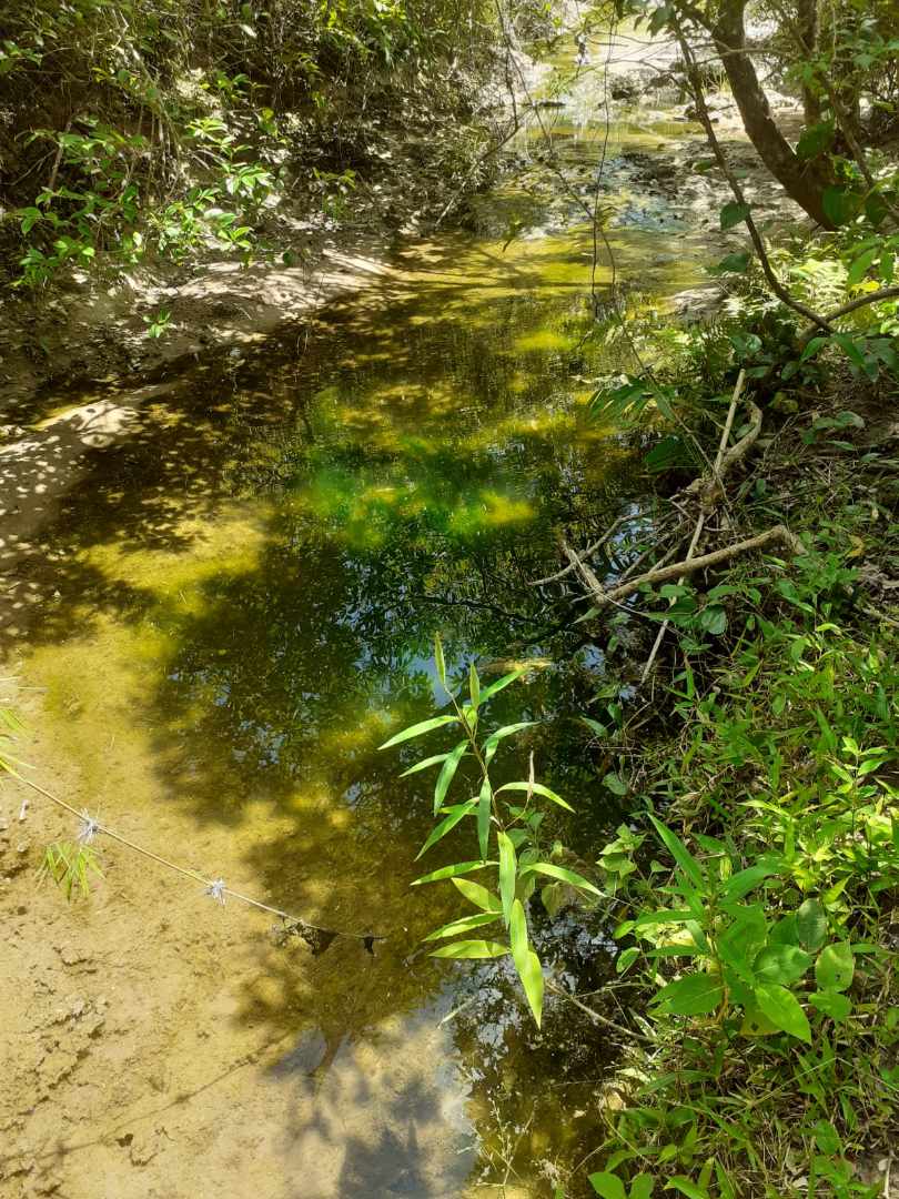 Quinta propiedad agrícola en Doble vía La Guardia en Santa Cruz de la Sierra    Foto 2