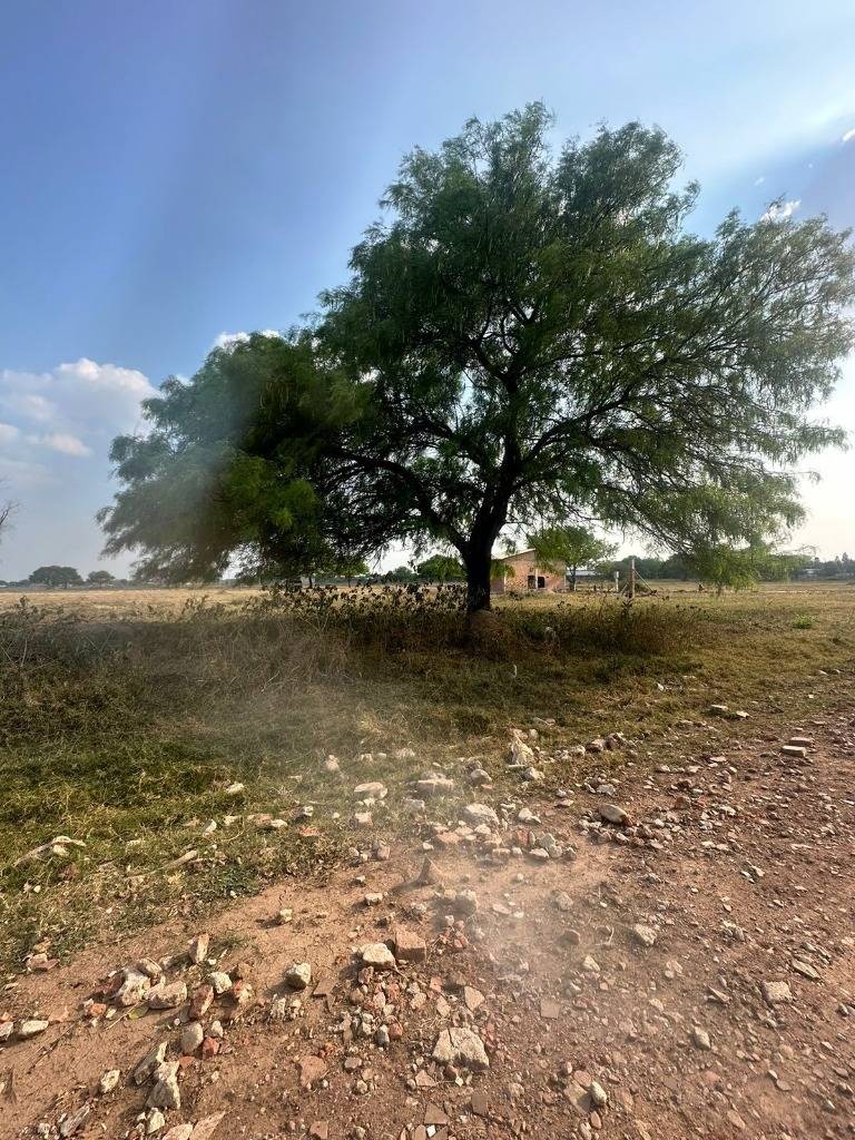 Terreno en Entre 9no y 10mo anillo Este en Santa Cruz de la Sierra    Foto 4