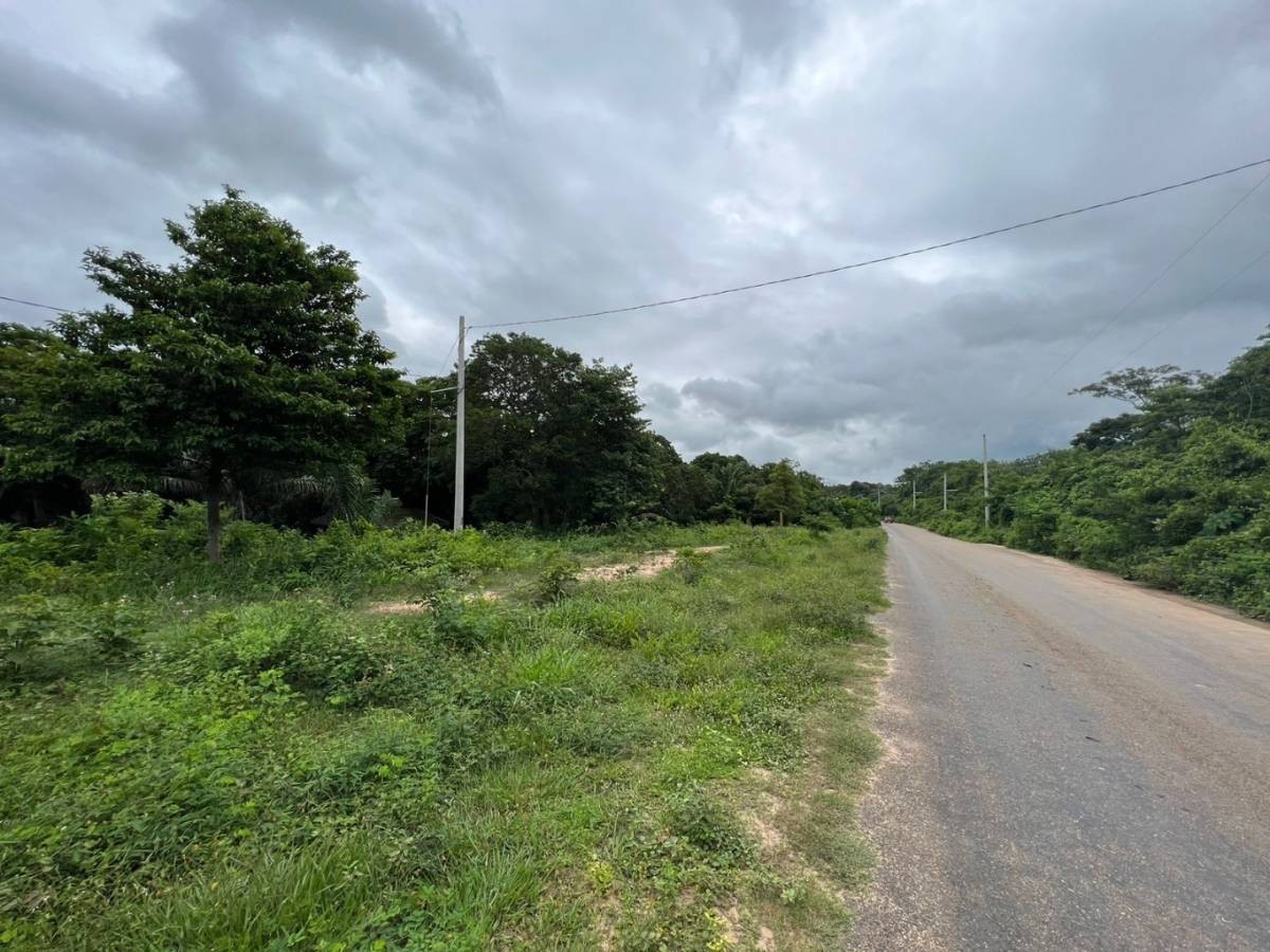 Terreno en VentaSobre Carretera Pavimentada al Cuchi
    Foto 5