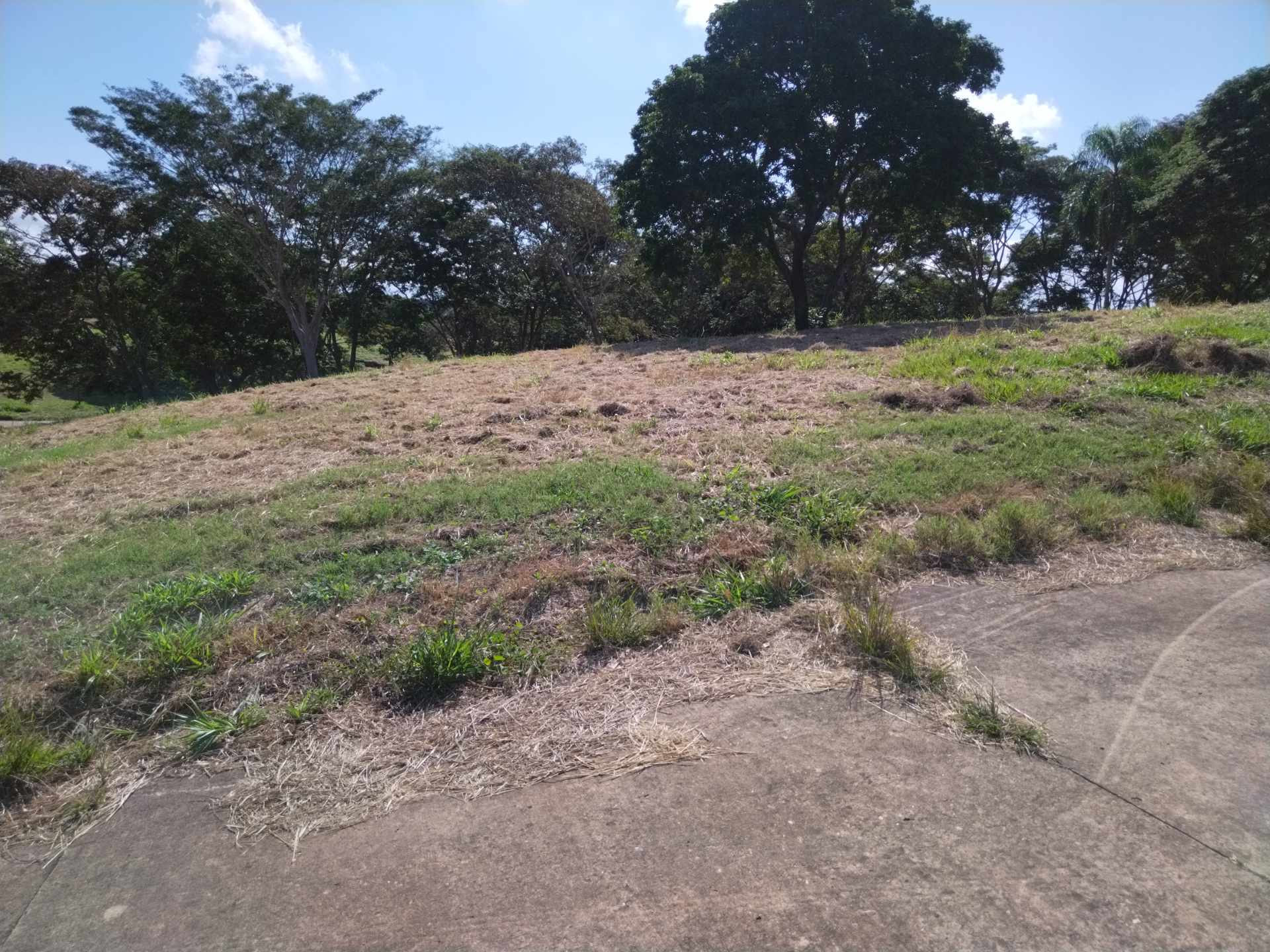 Terreno en VentaCOLINAS DEL URUBO LAS PALMERAS/SECTOR LOMERÍO    Foto 8