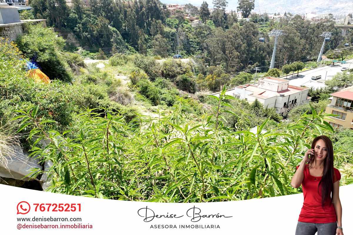 Terreno en San Jorge en La Paz    Foto 2