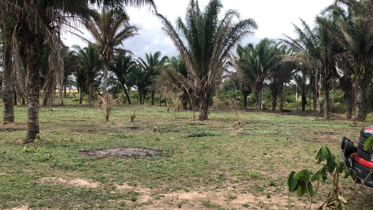 Terreno en VentaUrubo carretera a Porongo, Capihuara. Foto 4