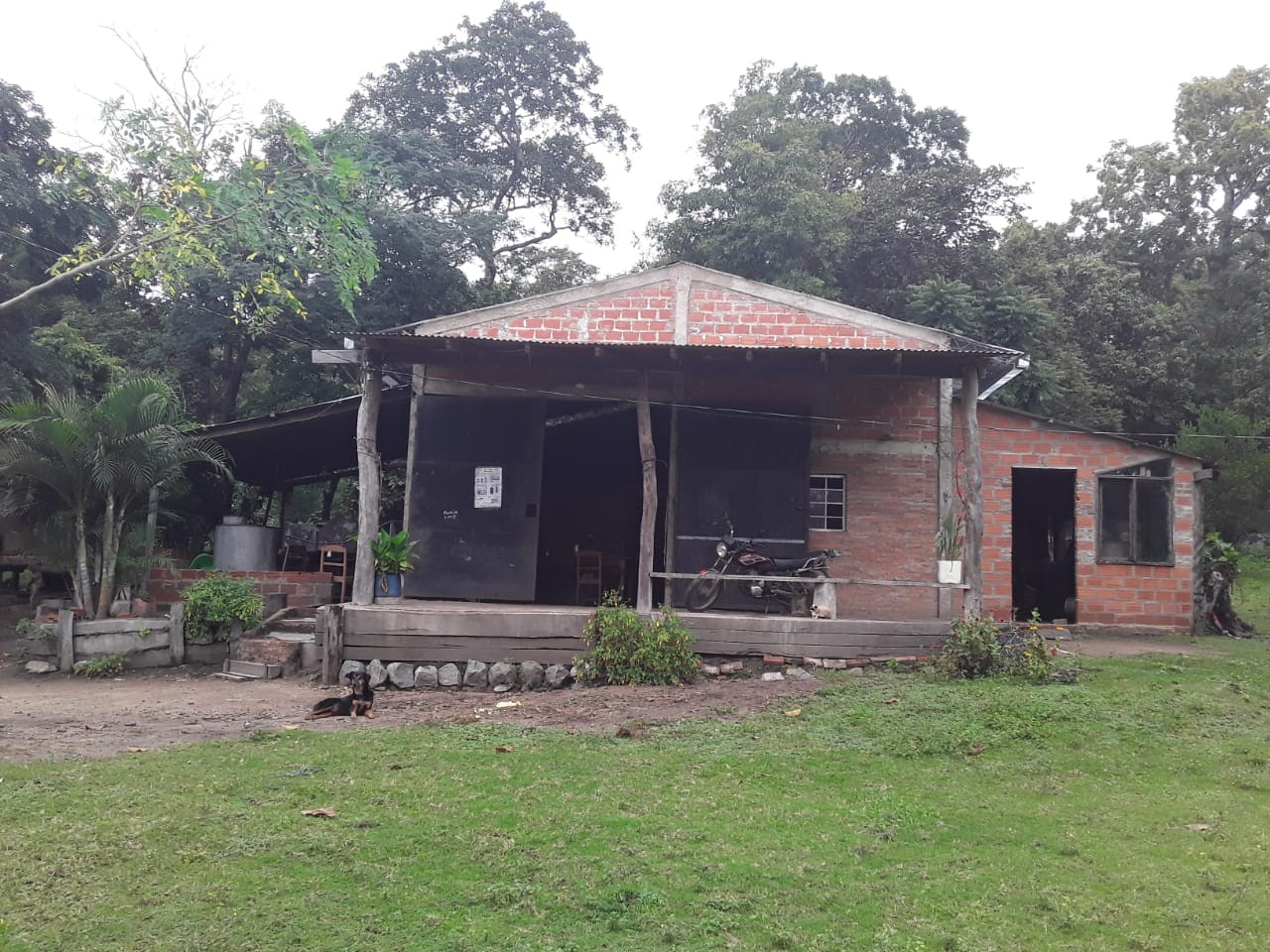 Quinta propiedad agrícola en VentaSan Ramon, Prov. Ñinflo de Chavez, Santa Cruz Foto 3