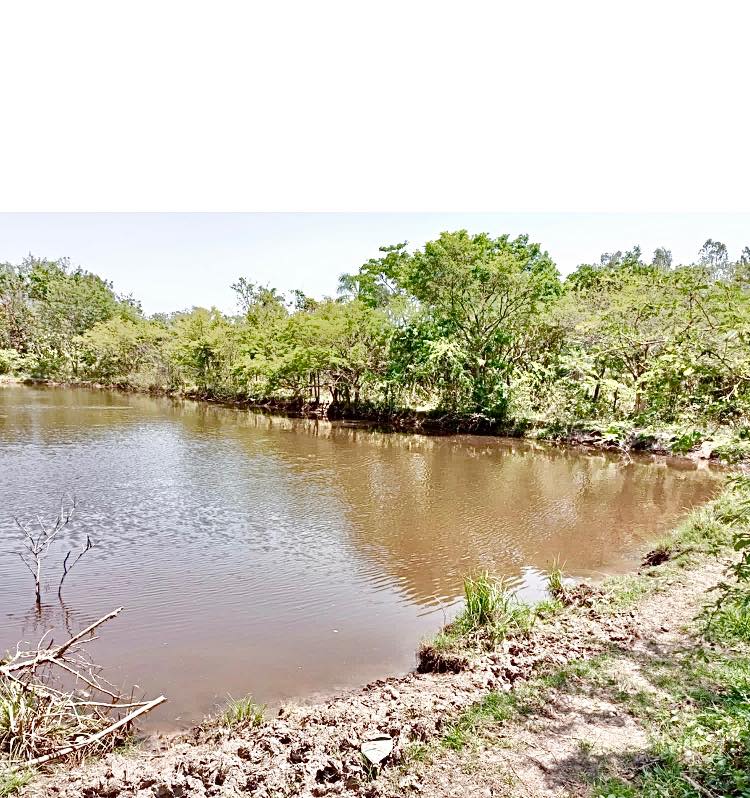 Terreno en Venta<b>TERRENO EN VENTA, WARNES - AZUSAQUI.</b>    Foto 1