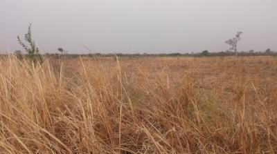 8cd711162644d748cd0516f1b1d00571845647