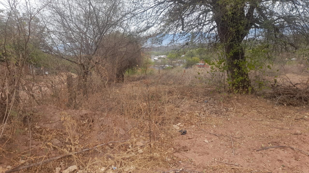 Terreno Villamontes sobre carretera a sc.  Foto 2