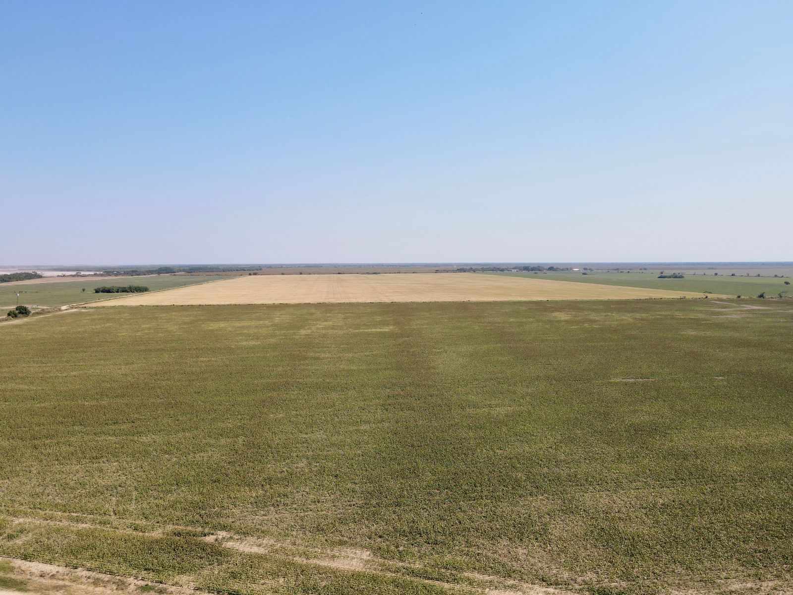 Quinta propiedad agrícola en VentaEn Venta 485 Hectáreas Agrícolas 100% Desarrolladas en Puente Banegas Foto 3