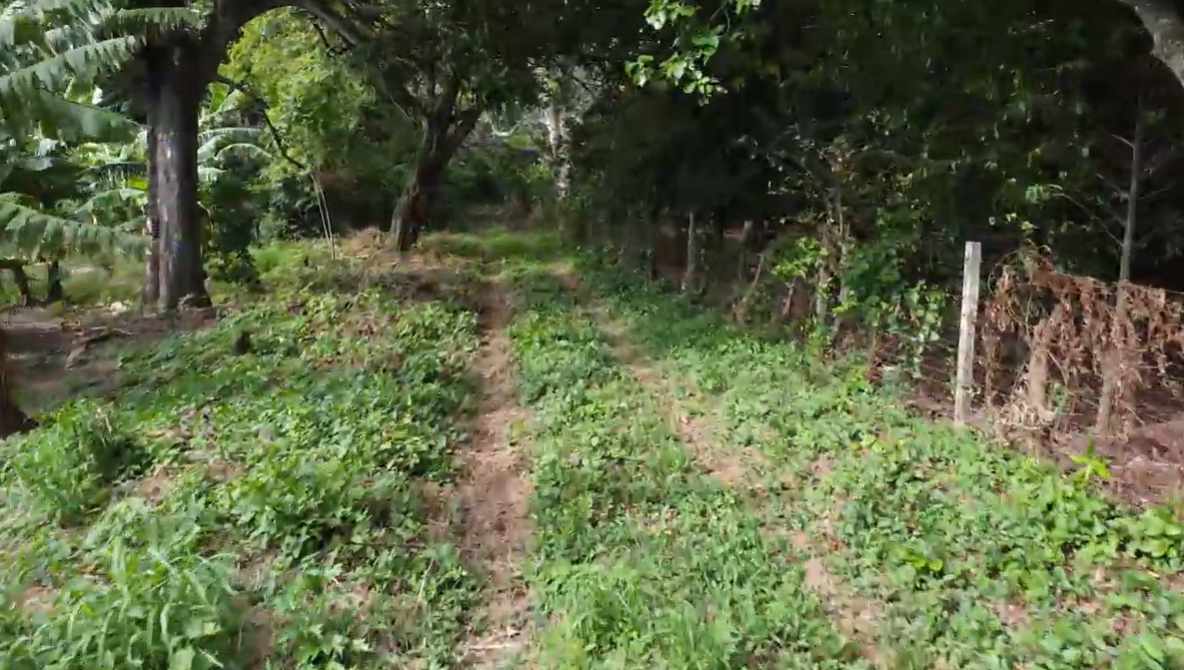 Quinta propiedad agrícola en VentaPropiedad Urbana en Porongo  1 baños  Foto 3