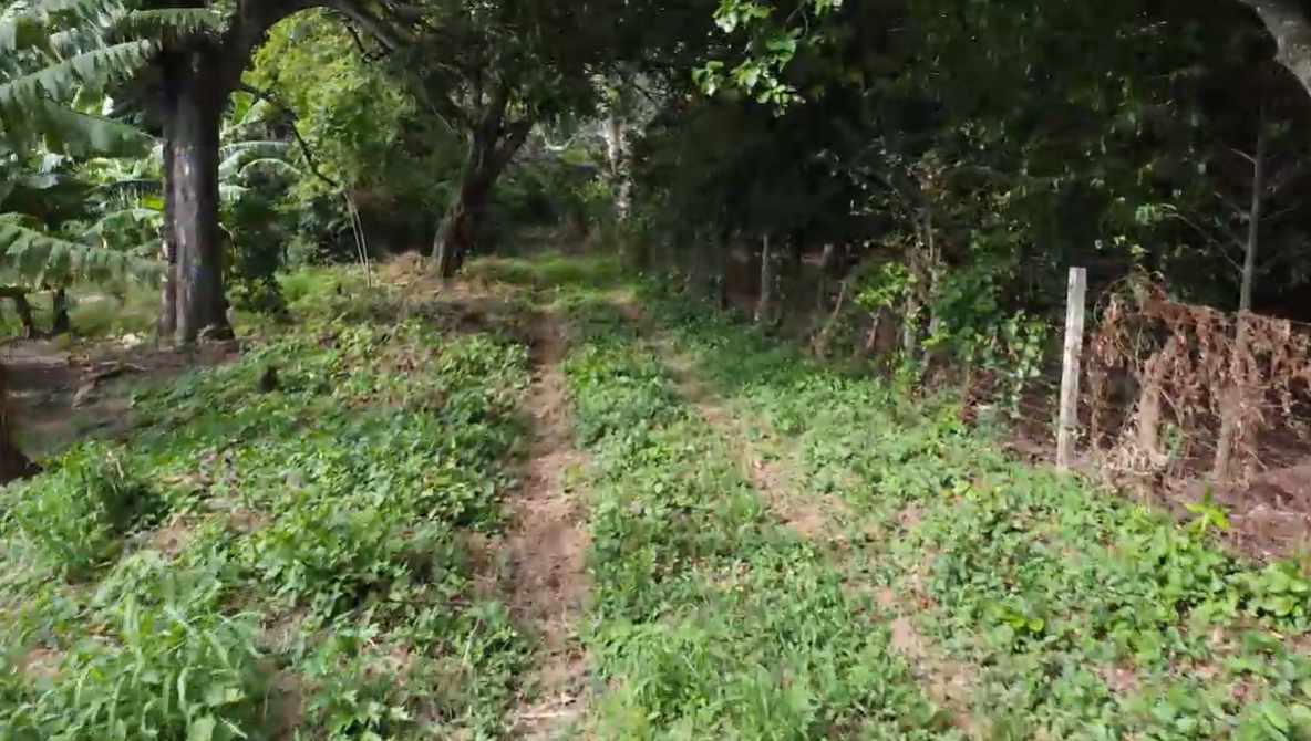 Quinta propiedad agrícola Propiedad Urbana en Porongo Foto 3