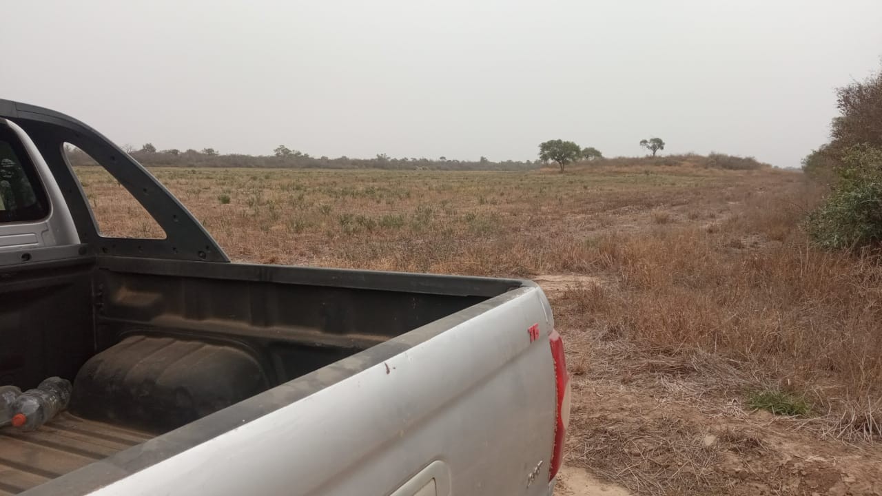 Quinta propiedad agrícola en VentaLinda propiedad  agricola  de 604ha por Pailon Sur, 70km entrando    Foto 13