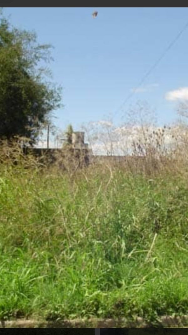 Terreno TERRENO EN VENTA  -     ZONA SAN JORGE    -      AVENIDA LIBERTADORES Foto 4