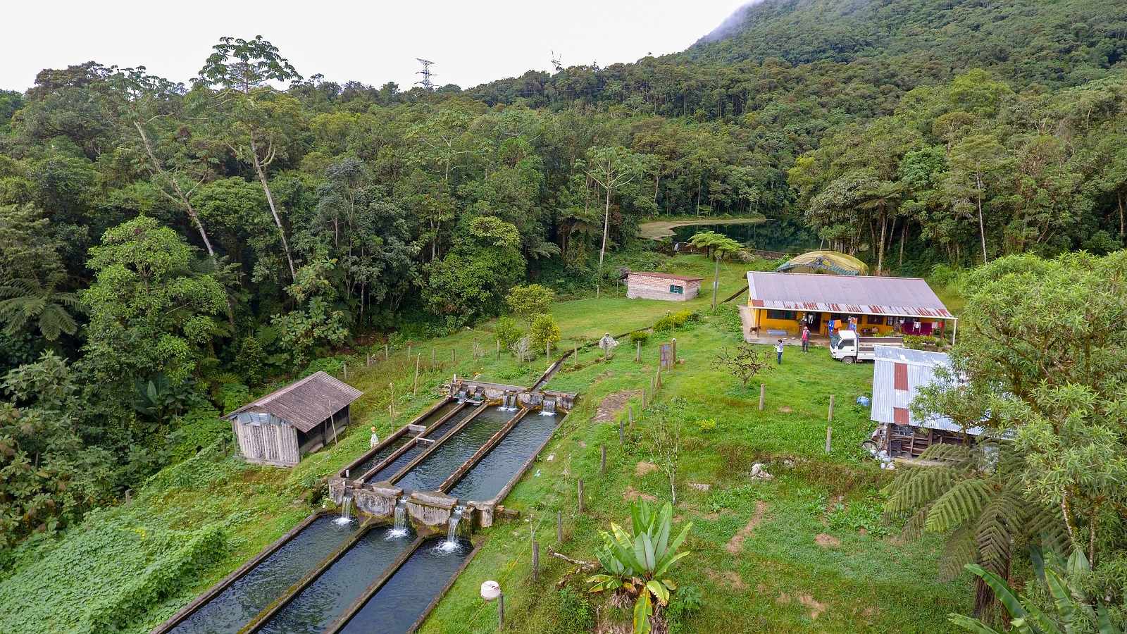 Quinta propiedad agrícola en Villa Tunari (Chapare) en Cochabamba    Foto 7