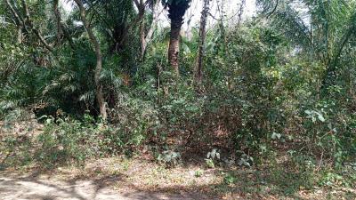 8d9a12408a772c4cd96a366ff123f799f70731